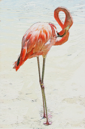 Flamingo Art
